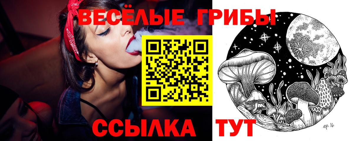 Кинель  Галлюциногенные грибы мухоморы  Вход с VPN  продажа наркотиков  Галлюциногенные грибы прущие грибы 